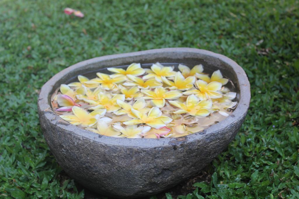 Odah Ayu Guest House Ubud Eksteriør bilde